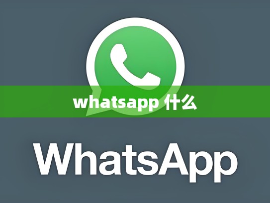 whatsapp 什么