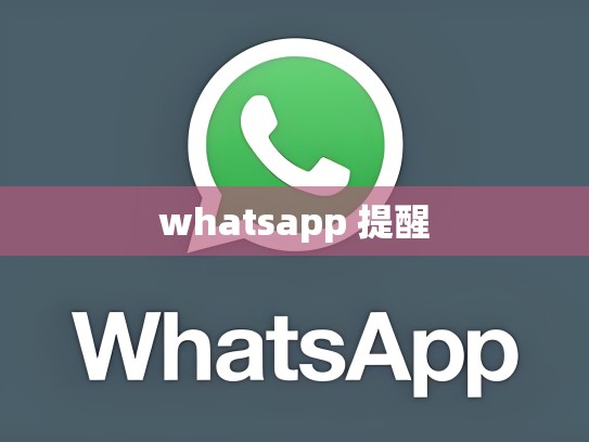 whatsapp 提醒