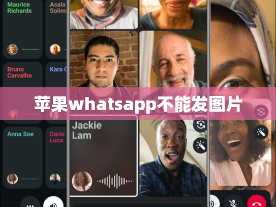 苹果whatsapp不能发图片