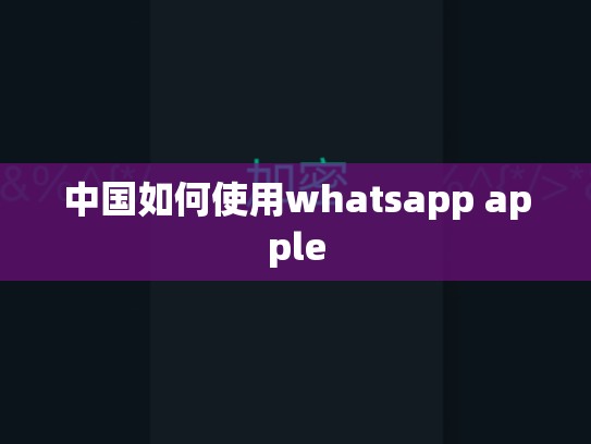 中国如何使用whatsapp apple