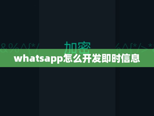 whatsapp怎么开发即时信息