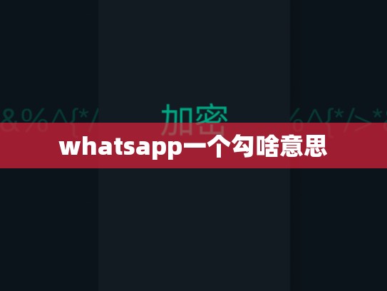 whatsapp一个勾啥意思
