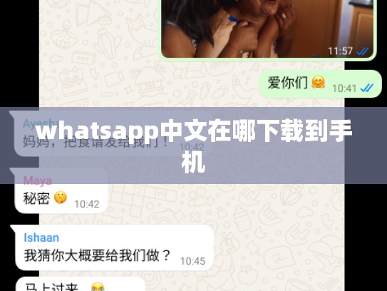 whatsapp中文在哪下载到手机