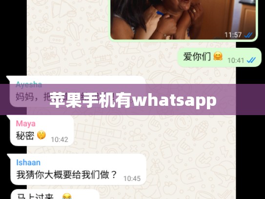 苹果手机有whatsapp