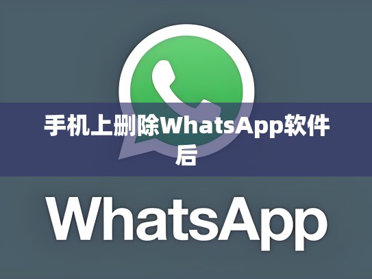 手机上删除WhatsApp软件后