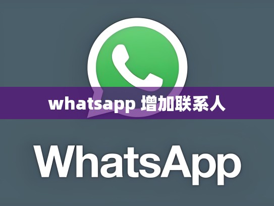 whatsapp 增加联系人