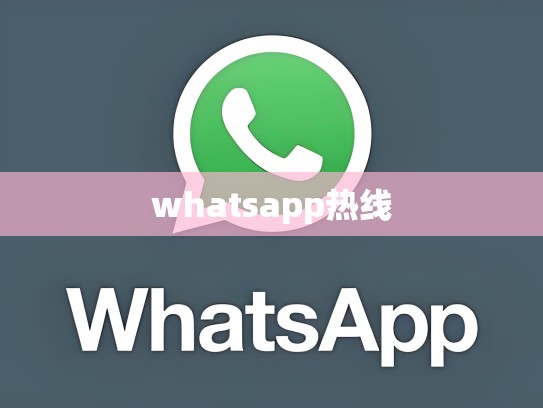 whatsapp热线