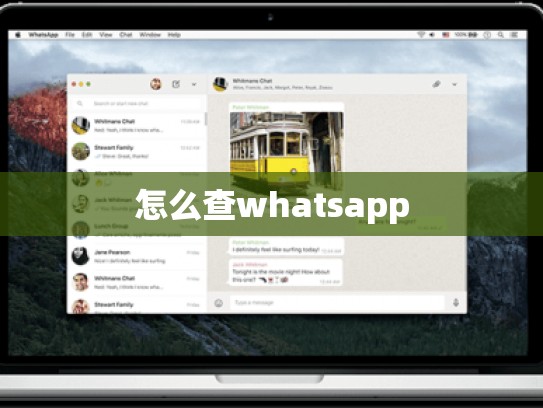 怎么查whatsapp