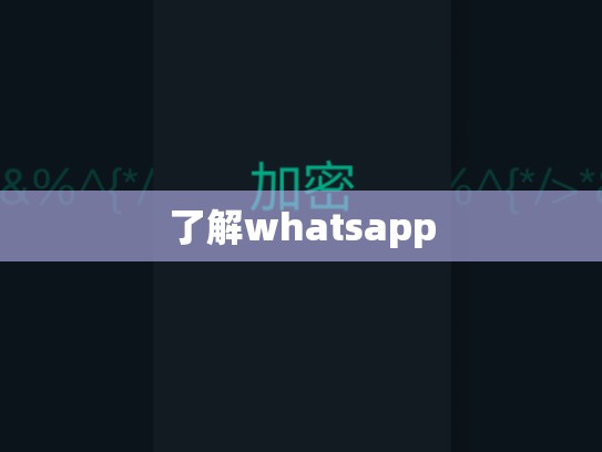 了解whatsapp