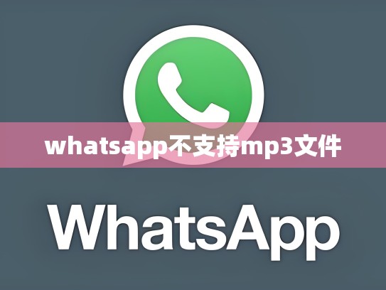 whatsapp不支持mp3文件