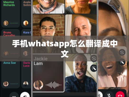 手机whatsapp怎么翻译成中文