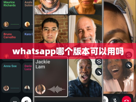 whatsapp哪个版本可以用吗
