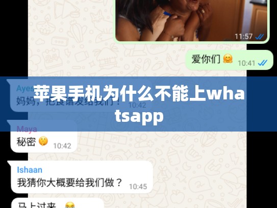 苹果手机为什么不能上whatsapp