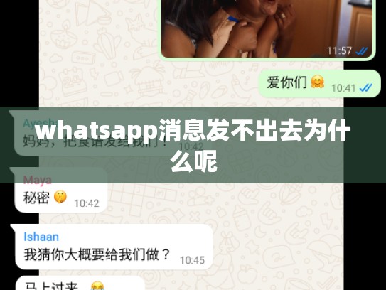 whatsapp消息发不出去为什么呢