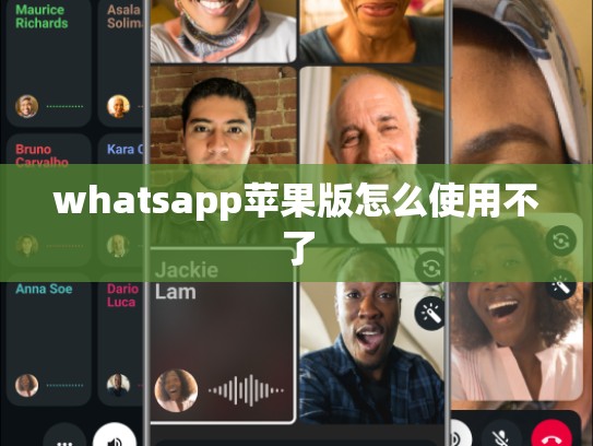 whatsapp苹果版怎么使用不了