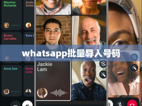 whatsapp批量导入号码