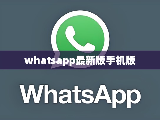 whatsapp最新版手机版