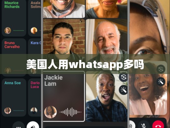 美国人用whatsapp多吗