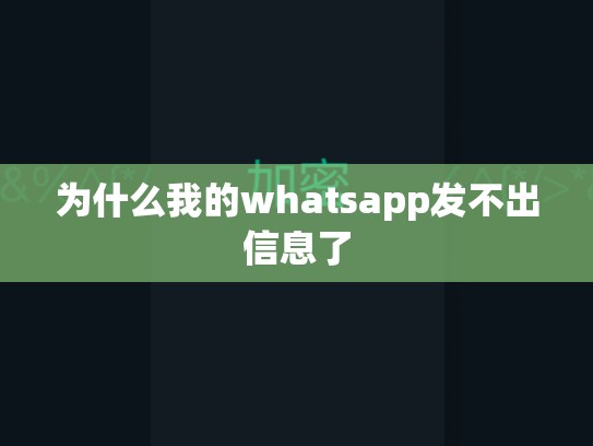 为什么我的whatsapp发不出信息了