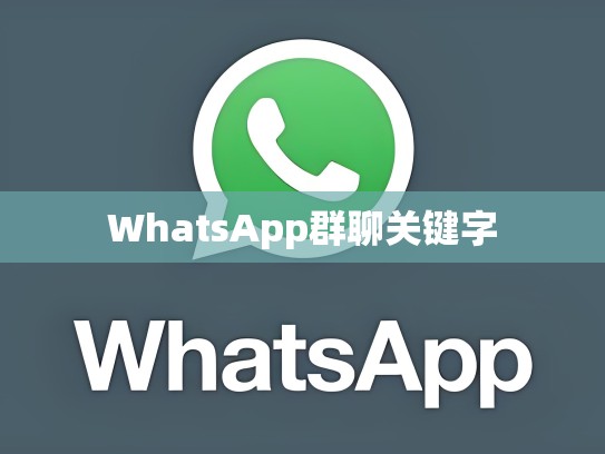 WhatsApp群聊关键字