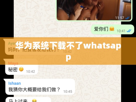 华为系统下载不了whatsapp