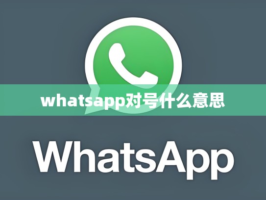 whatsapp对号什么意思