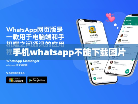 手机whatsapp不能下载图片