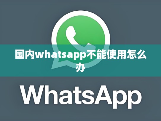 国内whatsapp不能使用怎么办
