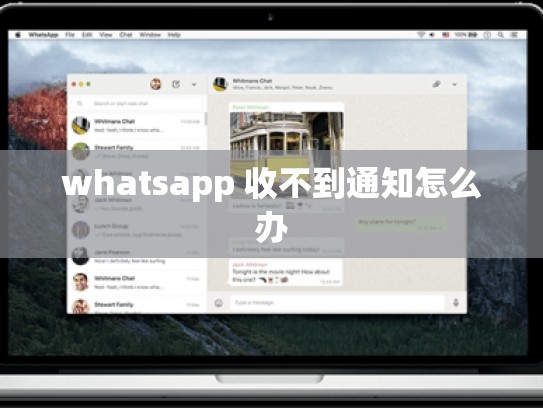 whatsapp 收不到通知怎么办