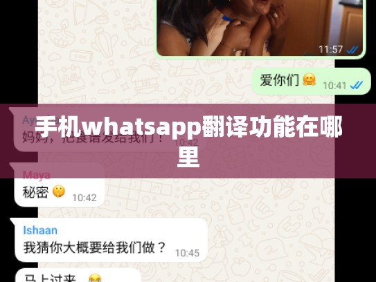 手机whatsapp翻译功能在哪里
