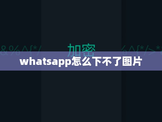 whatsapp怎么下不了图片