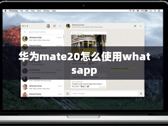 华为mate20怎么使用whatsapp
