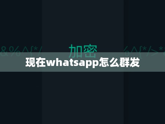 现在whatsapp怎么群发