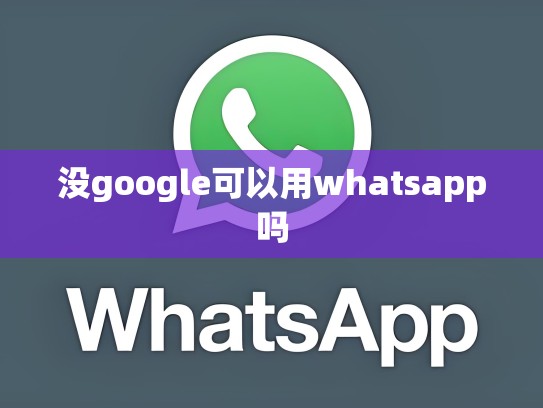 没google可以用whatsapp吗