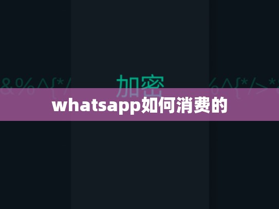 whatsapp如何消费的