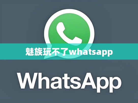 魅族玩不了whatsapp