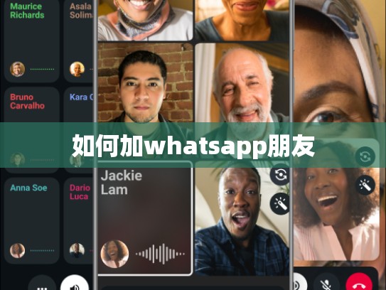 如何加whatsapp朋友
