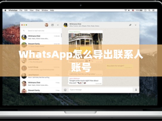 WhatsApp怎么导出联系人账号