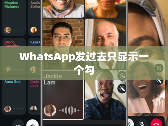 WhatsApp发过去只显示一个勾