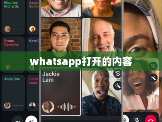 whatsapp打开的内容