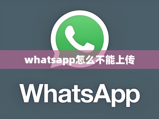 whatsapp怎么不能上传