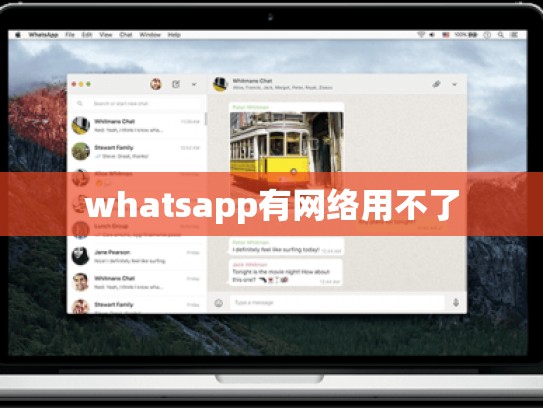 whatsapp有网络用不了