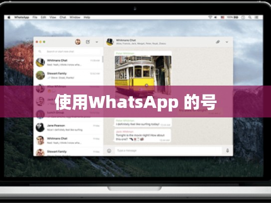 使用WhatsApp 的号