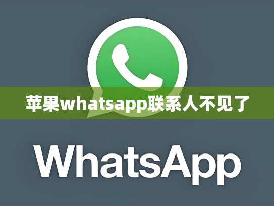 苹果whatsapp联系人不见了