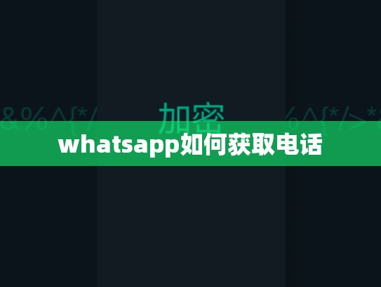 whatsapp如何获取电话