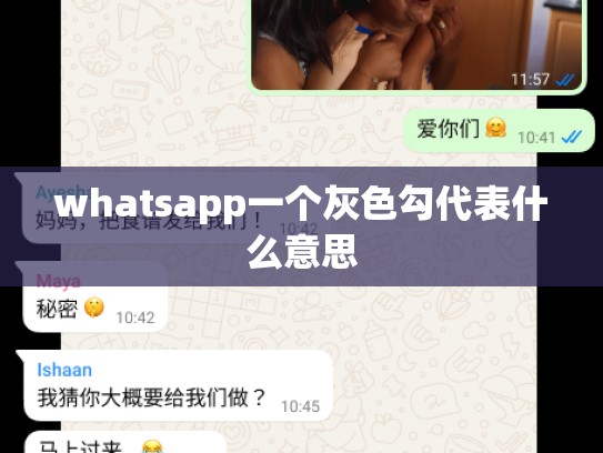 whatsapp一个灰色勾代表什么意思
