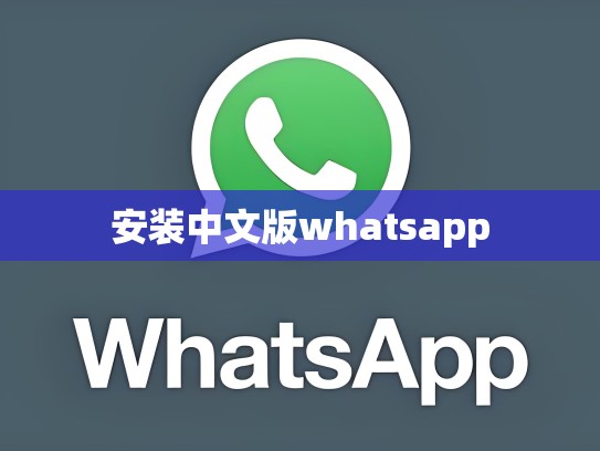 安装中文版whatsapp