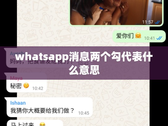 whatsapp消息两个勾代表什么意思