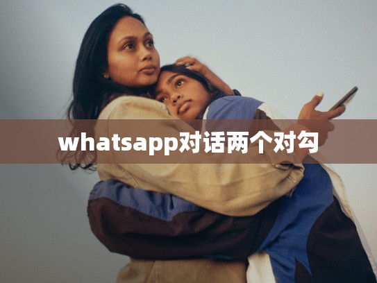 whatsapp对话两个对勾