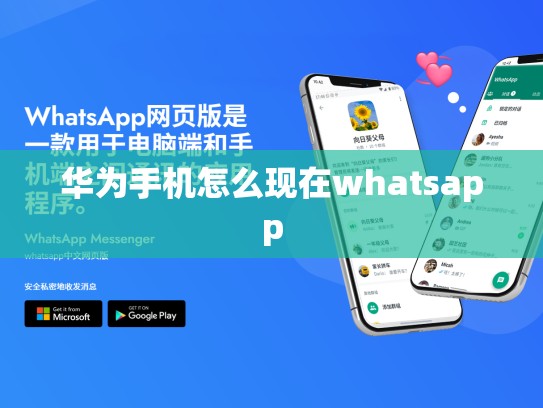 华为手机怎么现在whatsapp